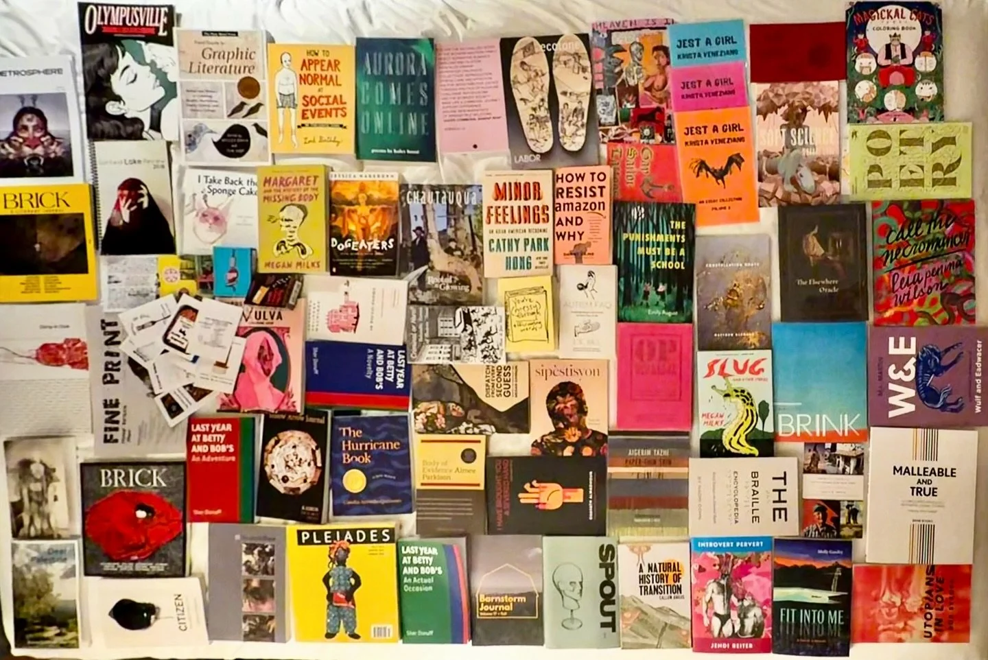 Check out the Fork Apple team&rsquo;s AWP book haul from some of our favorite presses! 🤓
#awp26 #indiebookshop #litcommunity #booksbooksbooks