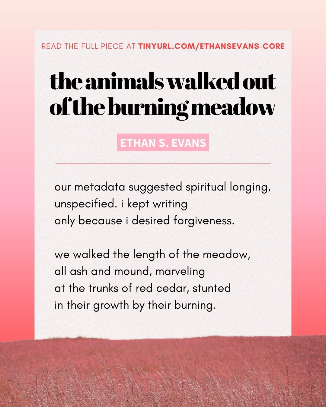 Read ethan s. evan&rsquo;s poem, &ldquo;the animals walked out of the burning meadow&rdquo; in The Core Review Issue 3!

Read the piece online:
https://tinyurl.com/ethansevans-core

Buy the issue in print: https://tinyurl.com/thecore3

#poetry #poem 