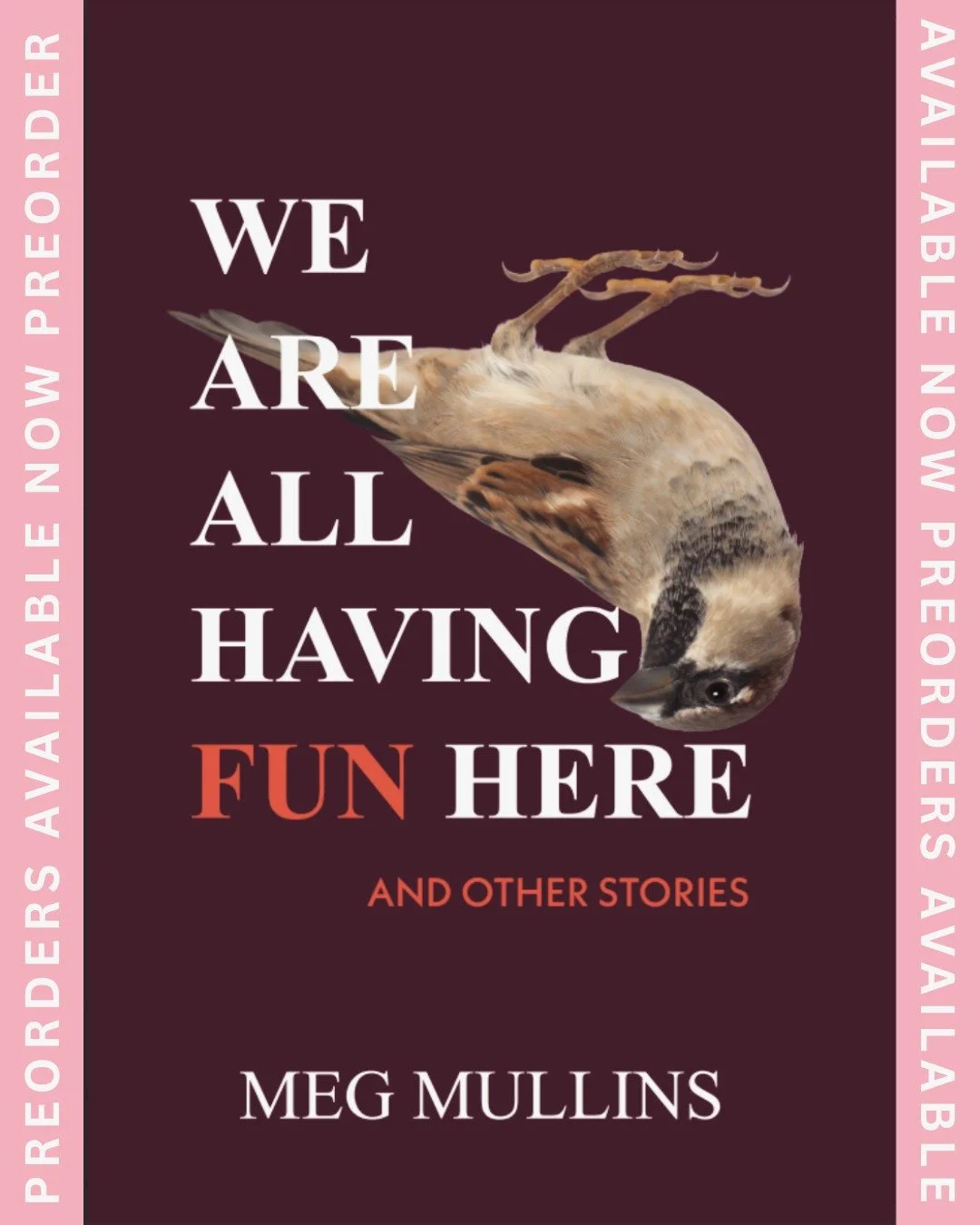 We're honored to announce that we've partnered with Bookworks @bookworksabq, a local bookshop in Albuquerque NM, for pre-orders of our 2026 winner of The Slice Short Story Collection Contest!

We Are All Having Fun Here by Meg Mullins is available fo