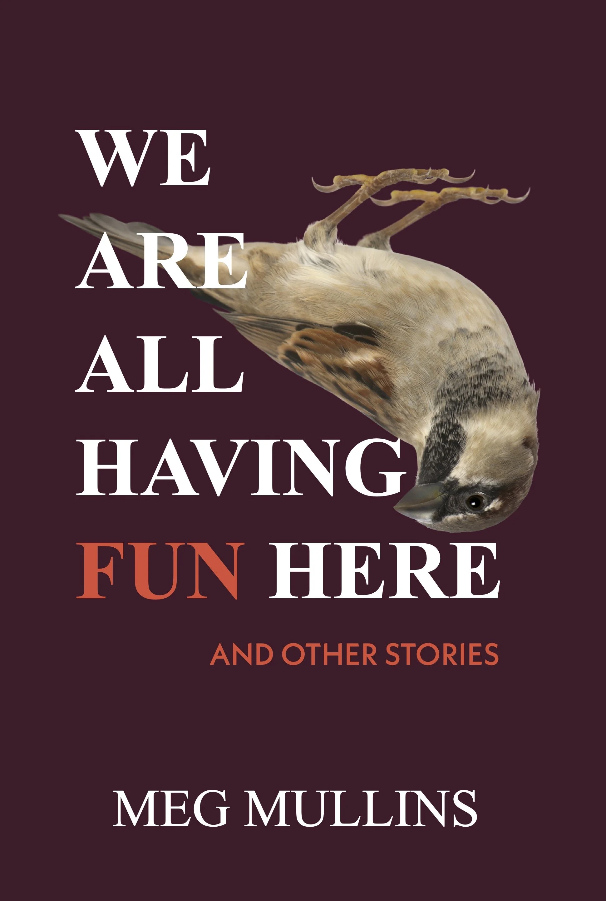 We Are All Having Fun Here by Meg Mullins