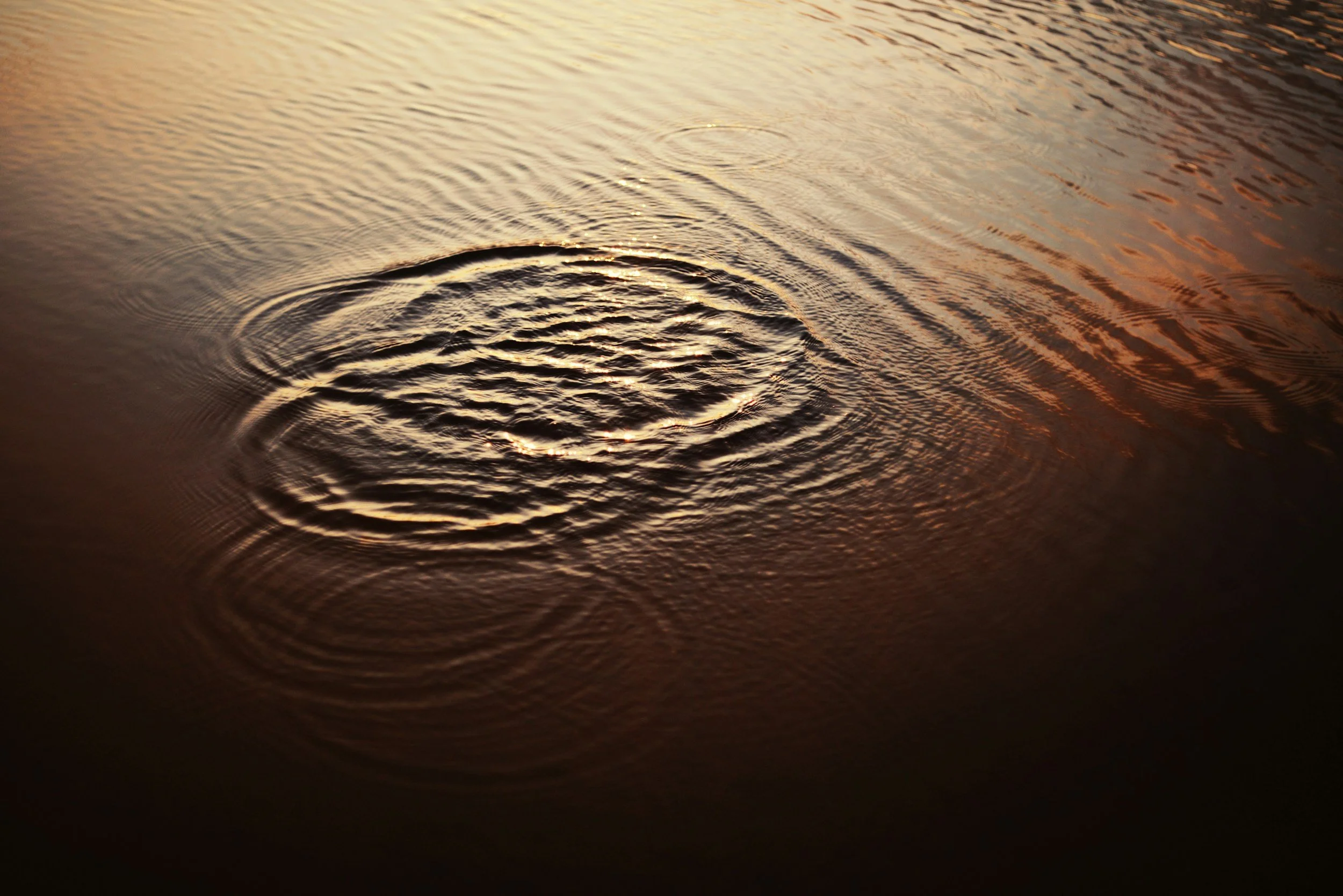 Amplify Without Overwhelm: Why Your Marketing Isn’t Working (Yet)