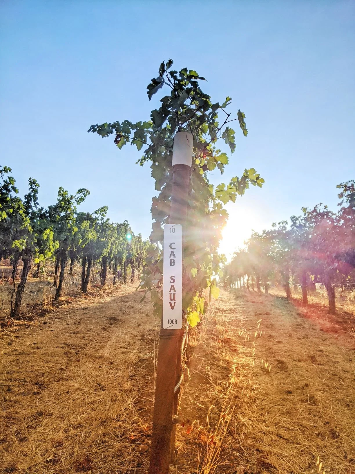 Granite Lake end post