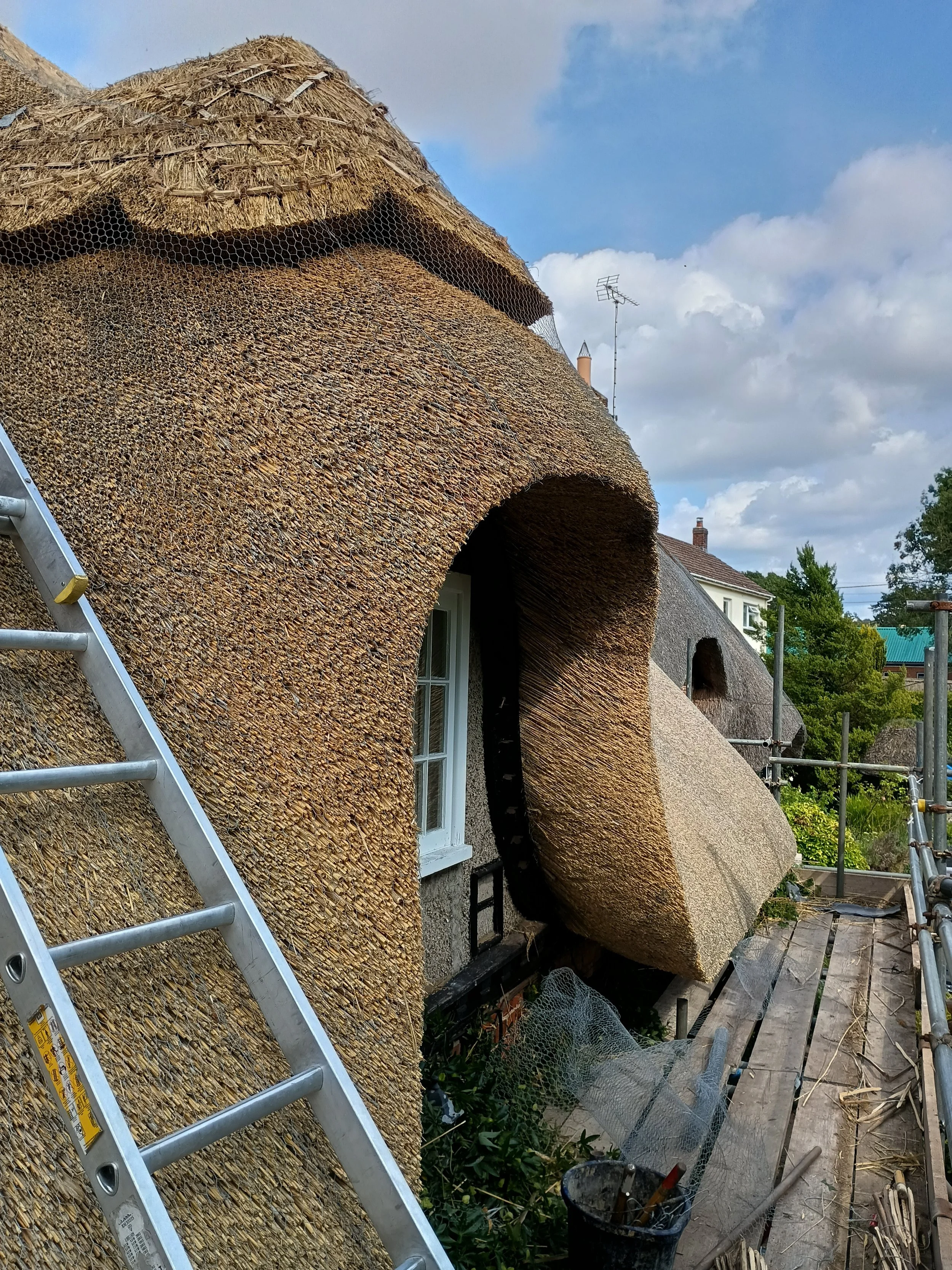 Thatched bell window