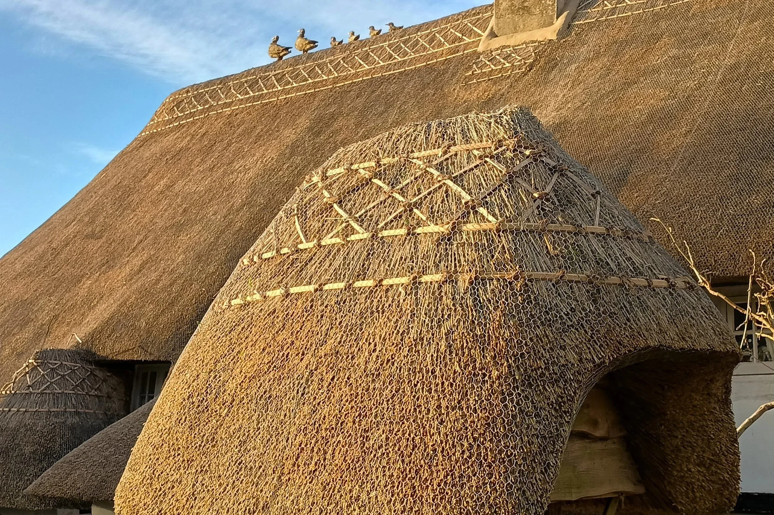 Thatched roof with straw duck finnials