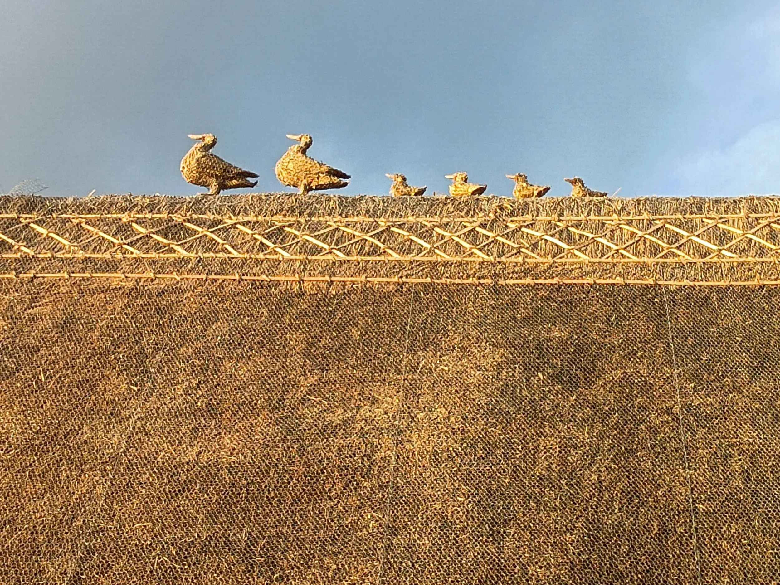 Straw duck finials