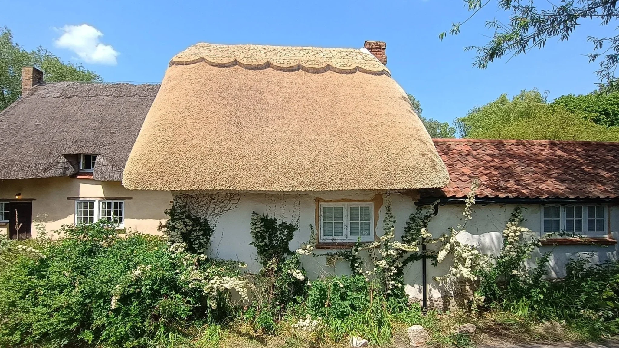 Re-thatch with pattern ridge