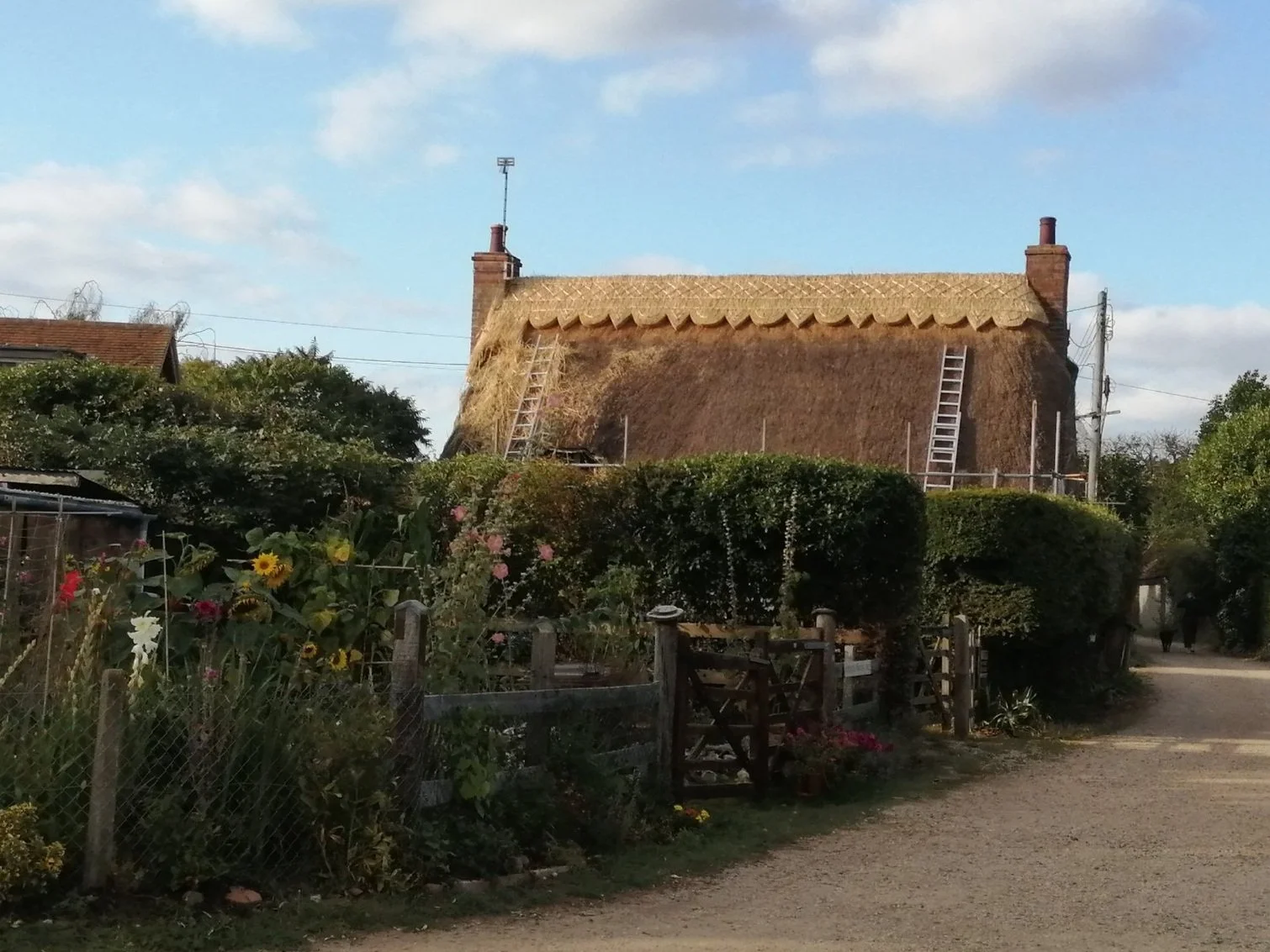 A cottage with a combed wheat reed thatched roof and pattern ridge