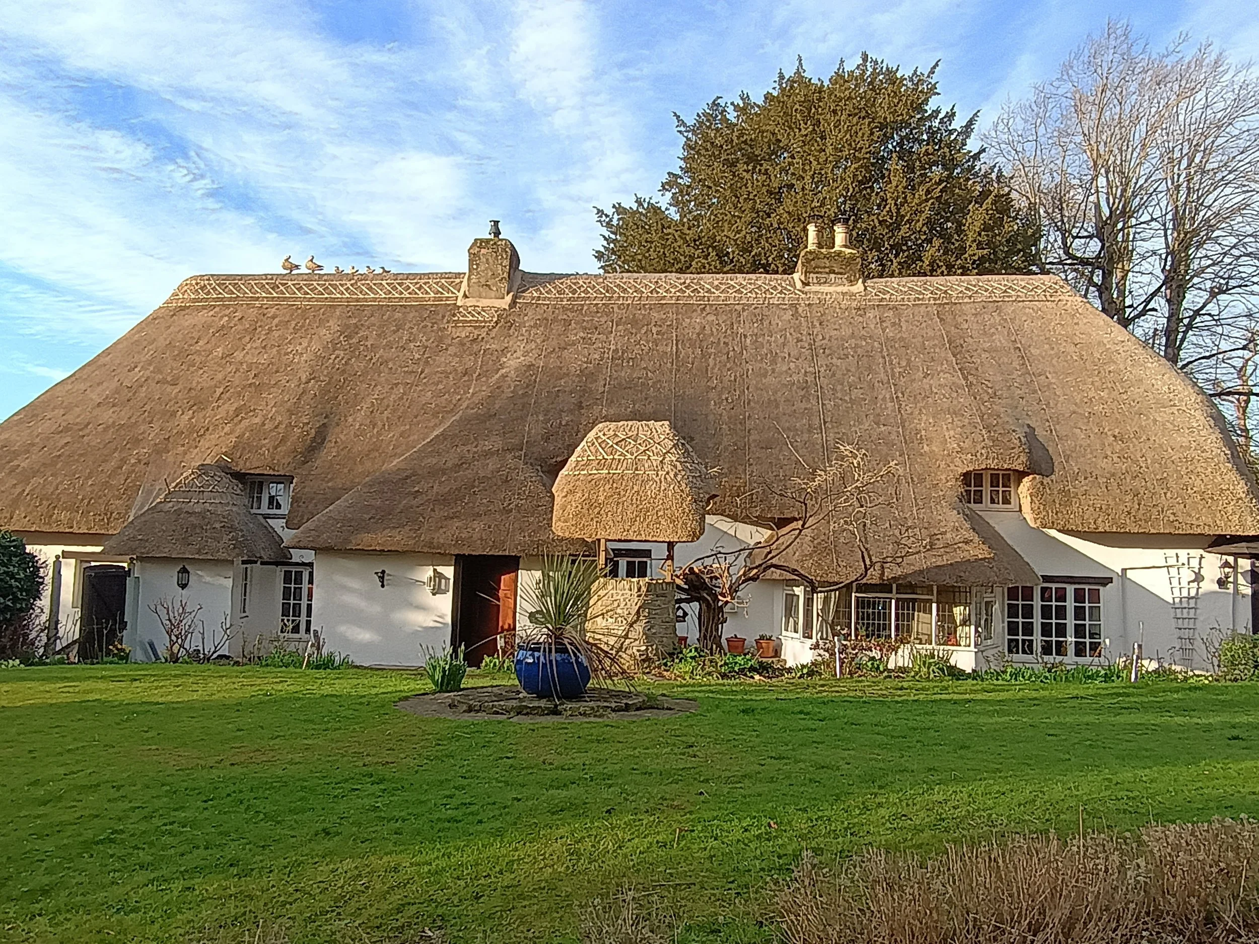 After picture of new re-thatched roof on cottage with flush ridge and duck finials