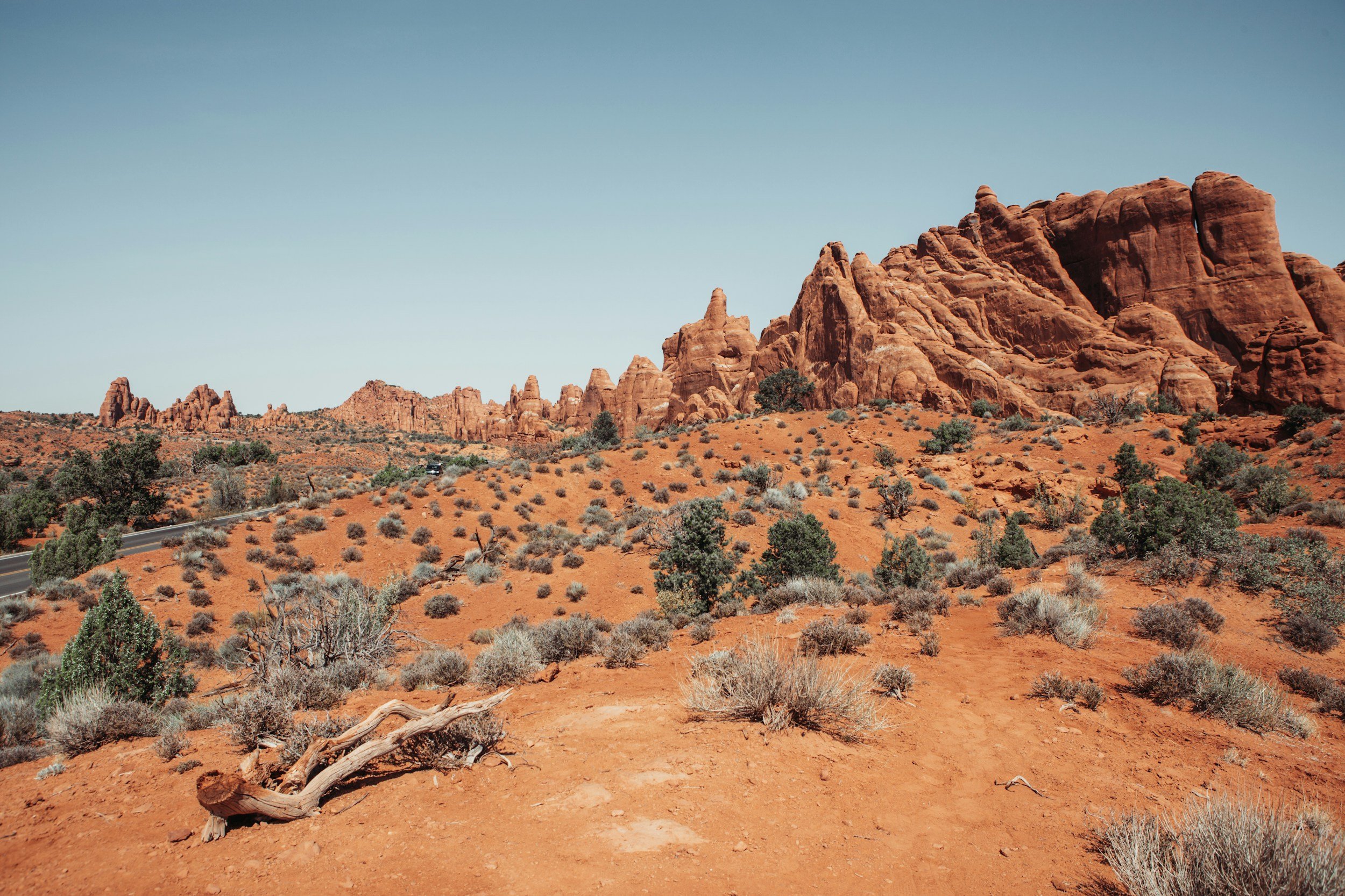 unsplash-image-yQAuEZ6q2yo.jpg
