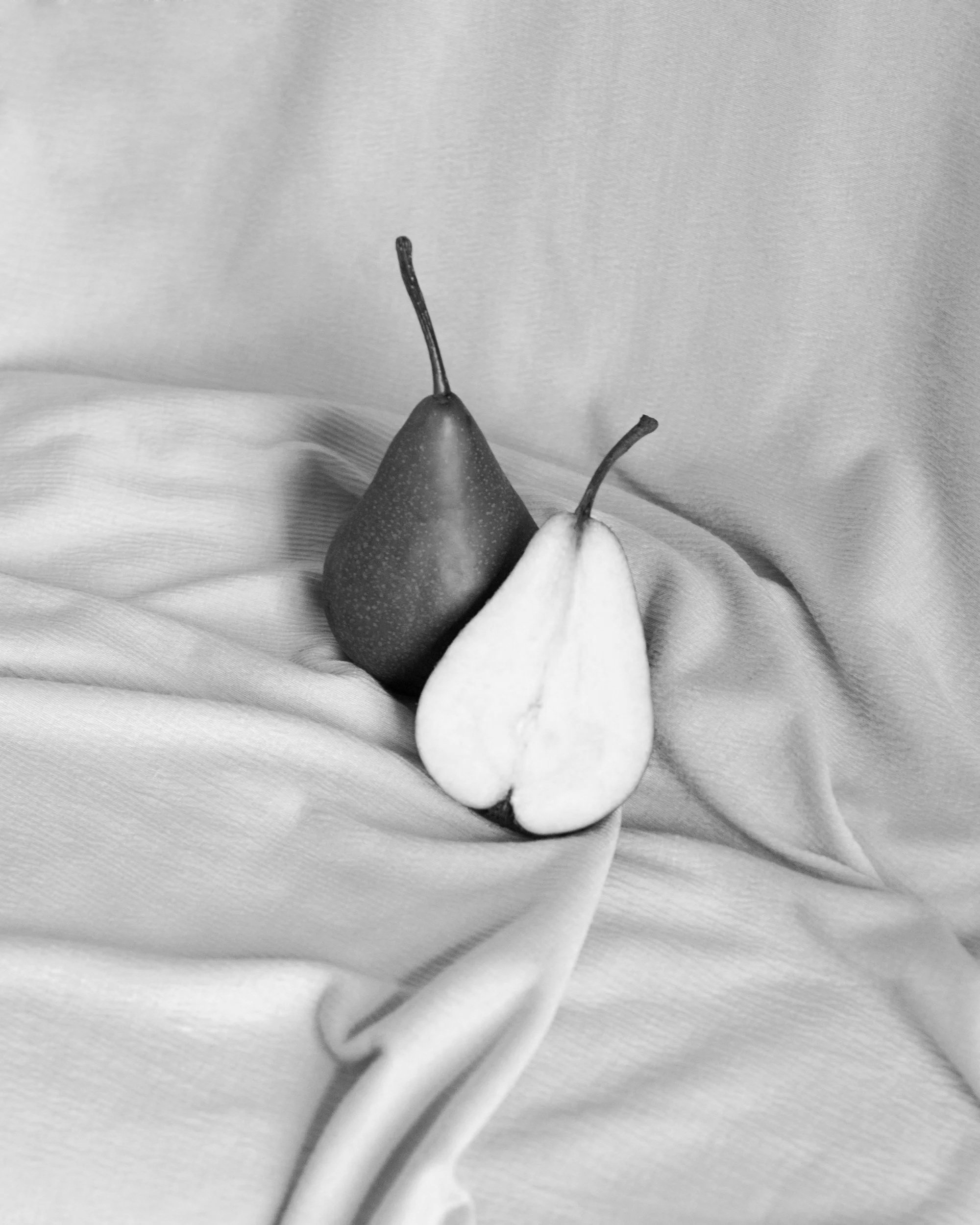 Lesbians Marrying Gay Man