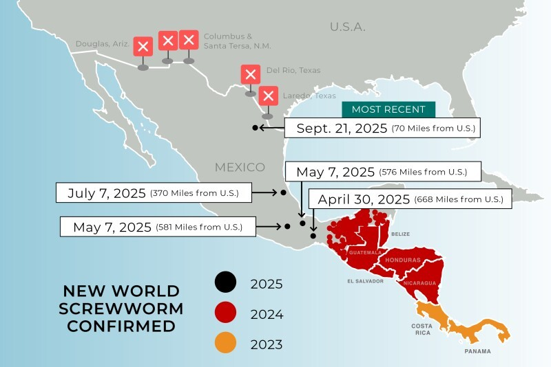 Expansion of the New World Screwworm Outbreak.