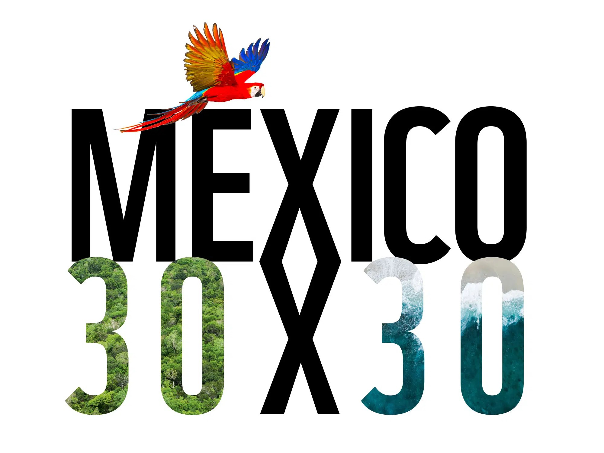Mexico Commits to Protecting its Territory.