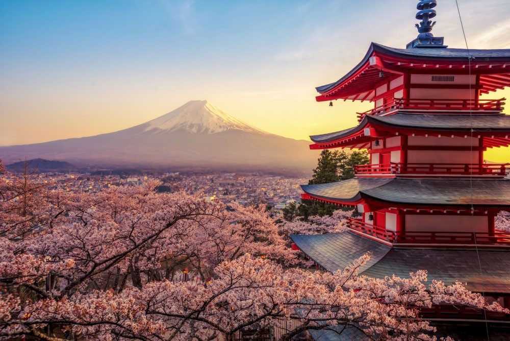 Mount Fuji Cherry Blossom Festival Canceled.