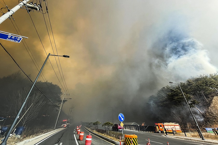 Order Issued for Gyeongju Wildfire.