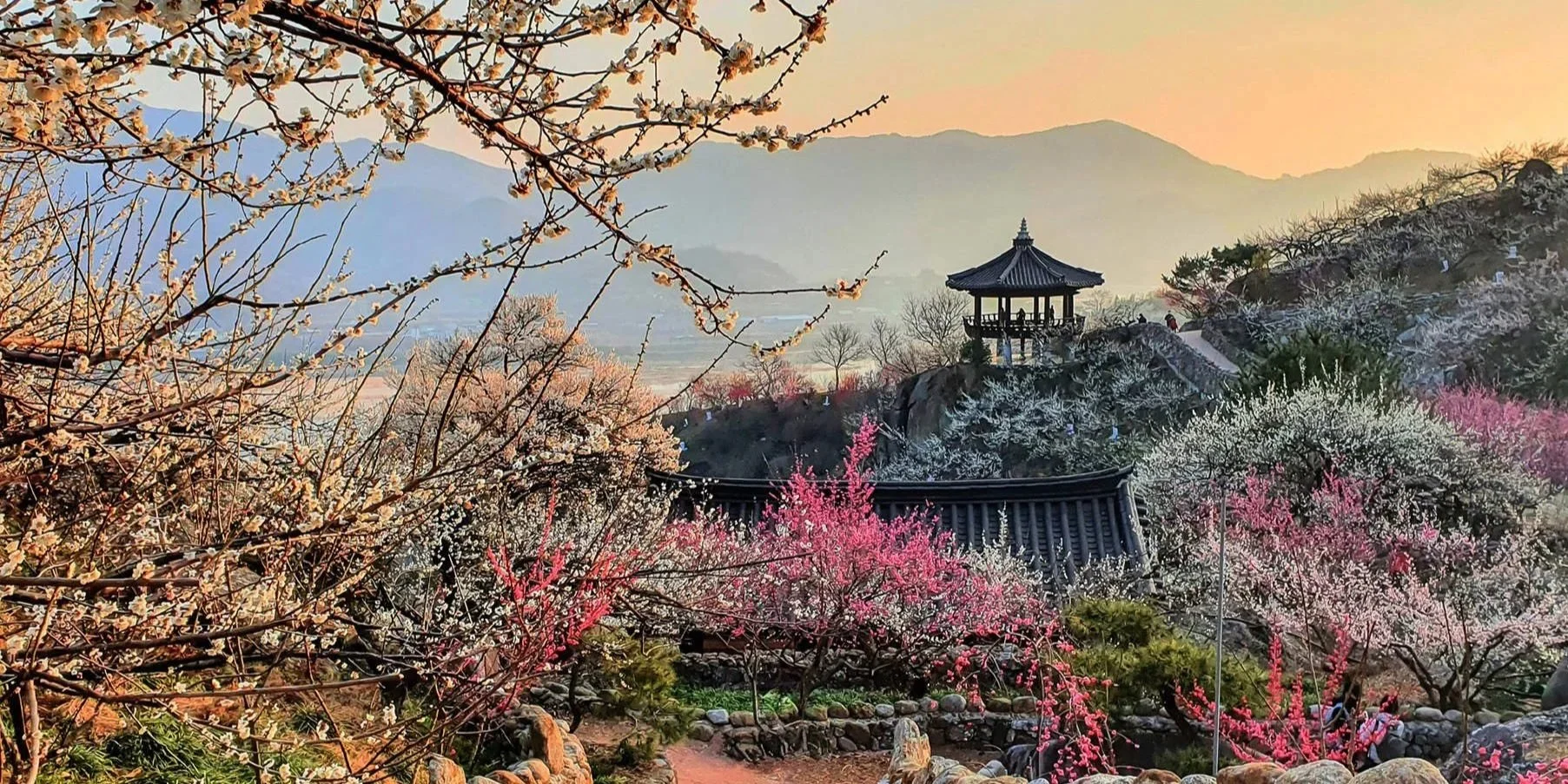 Plum Blossoms Blanket Seomjin Village.