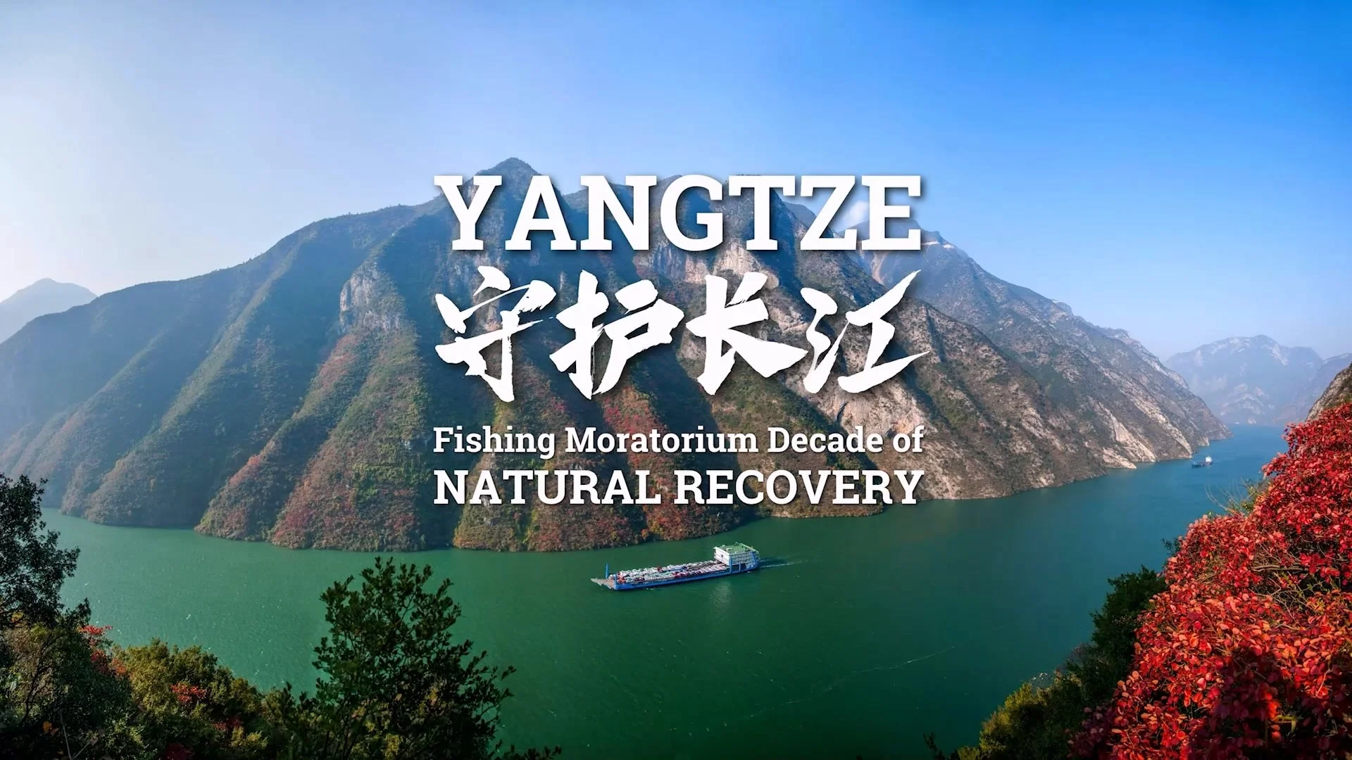 Biodiversity Rebound in the Yangtze.