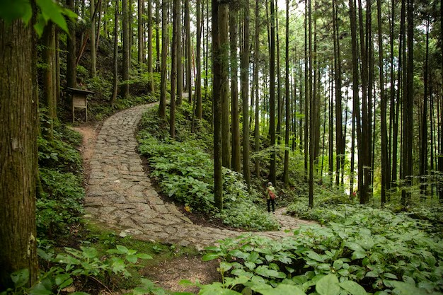 Revitalization Of The Nakasendo Trail.