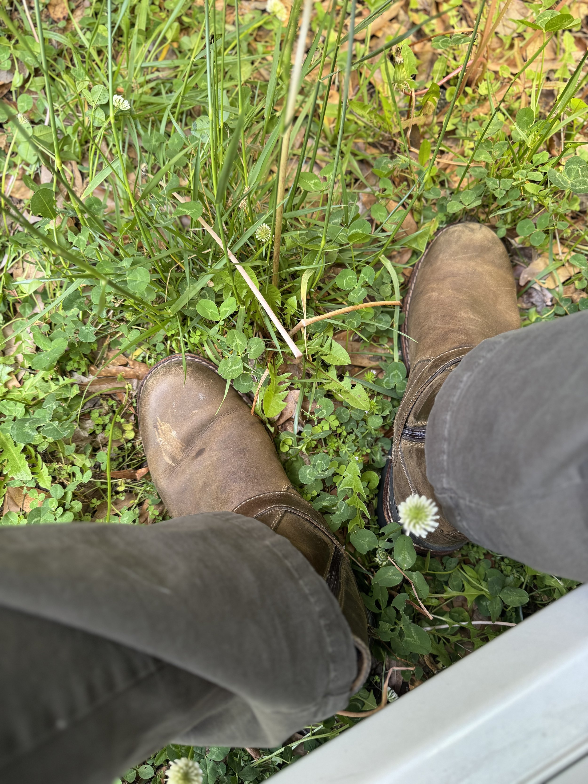 IMG_0286.jpeg