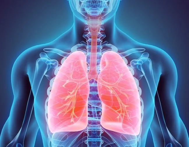 Healthy air climbing gym (Gesunde Luft in Kletterhallen, Un air sain en salle d’escalade)