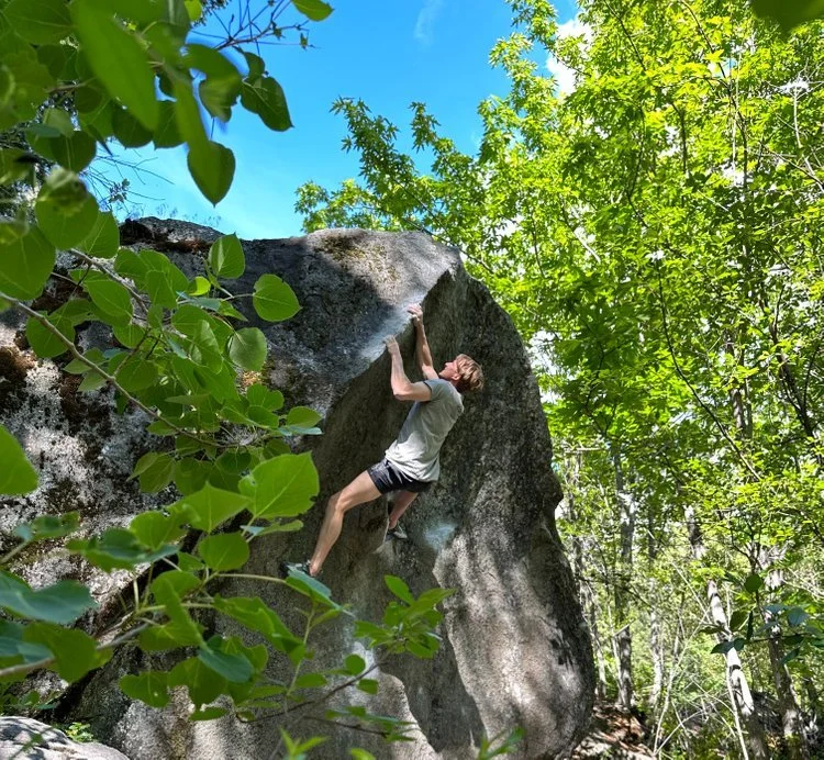 Environmentally friendly cleaning climbing holds (Nettoyer les prises d’escalade de manière écologique, Umweltfreundlich Klettergriffe reinigen)
