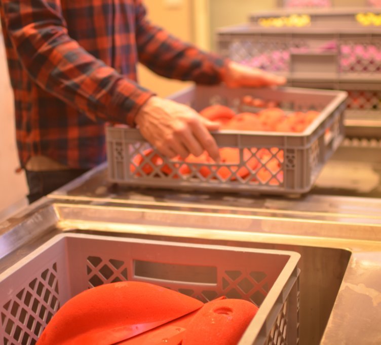 Cleaning climbing holds (Klettergriffe reinigen, Nettoyer les prises d’escalade)