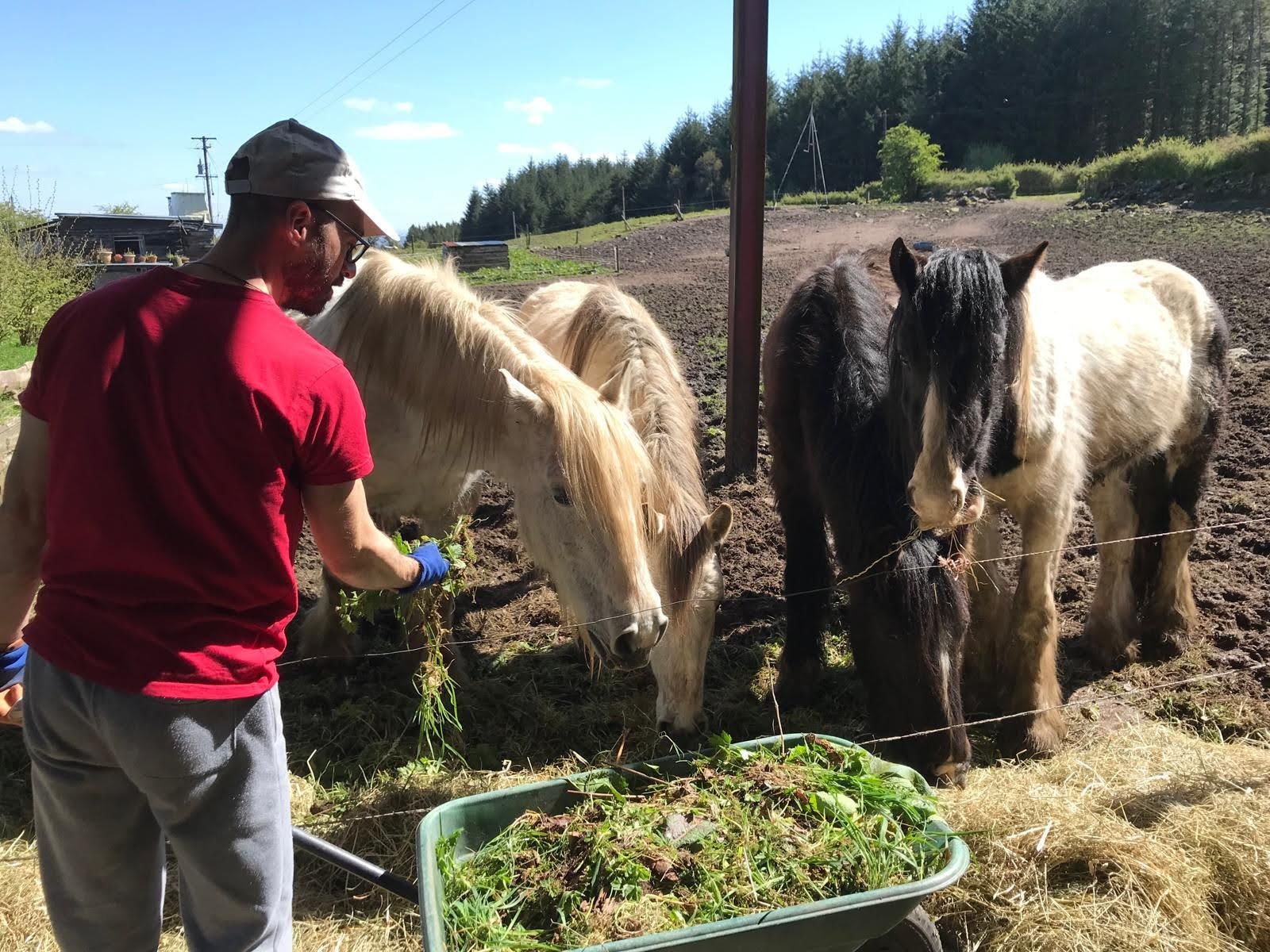 WhatsApp Image 2024-04-21 at 20.16.26.jpeg