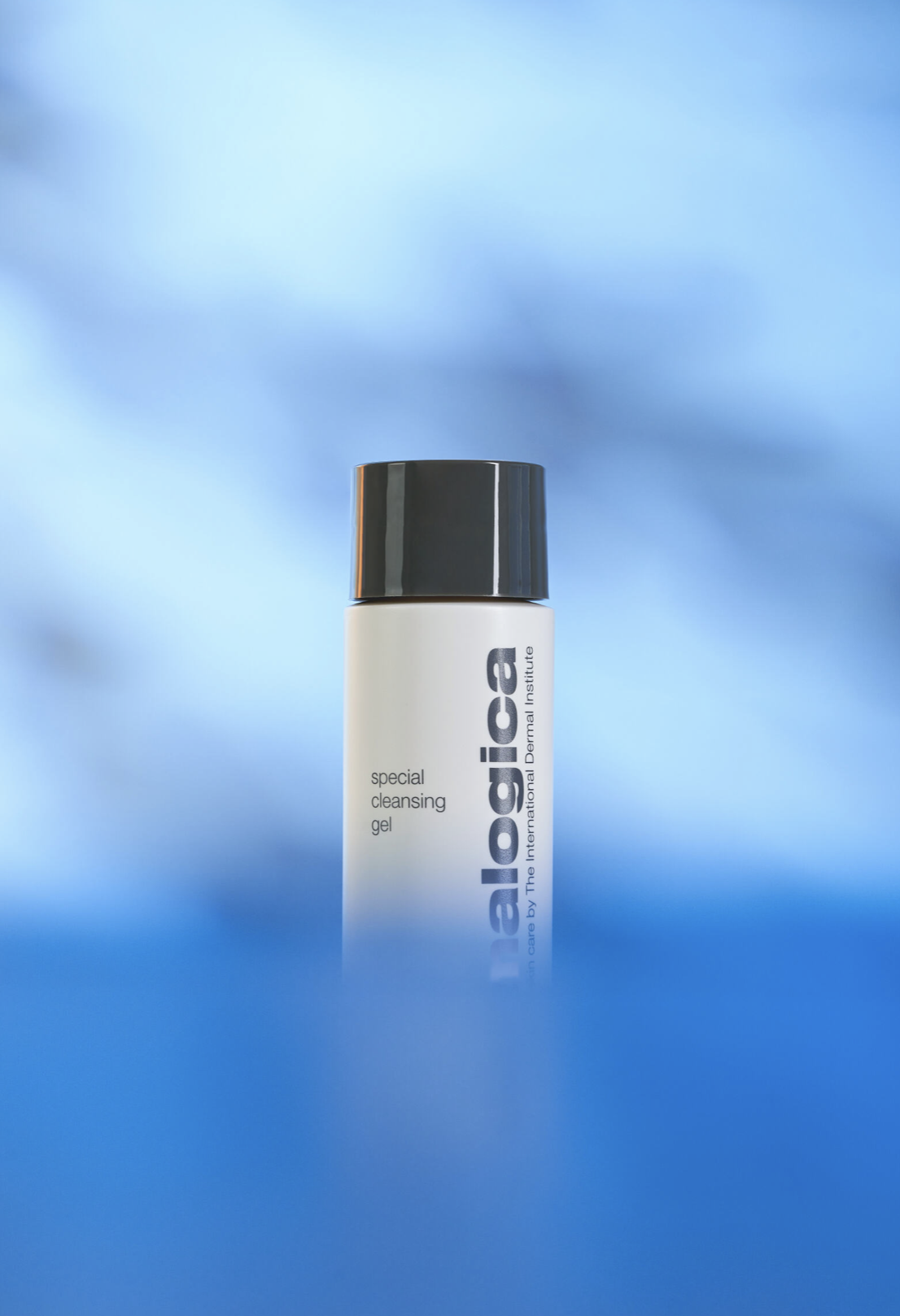 Screenshot 2024-09-02 at 10.59.47 AM.png