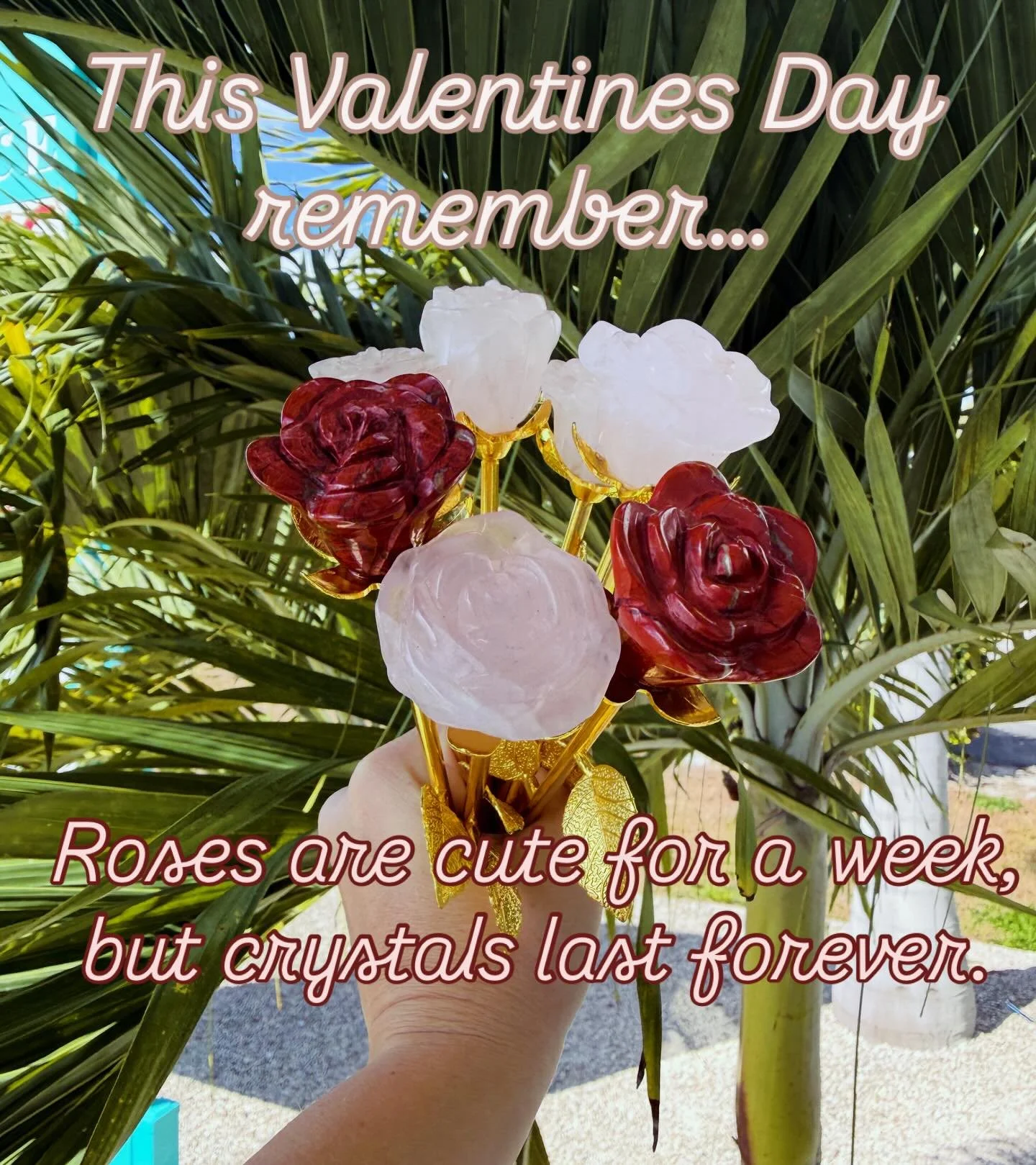 a gift that lasts a lifetime 😉🤍

#crystalcommunity #crystallover #valentines