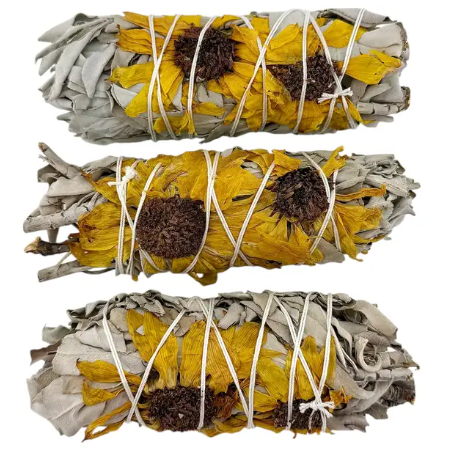 sunflower white sage.png