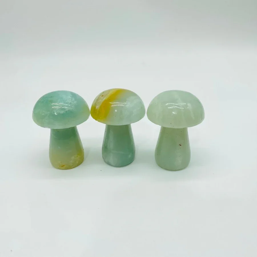 Caribbean Calcite Mushroom
