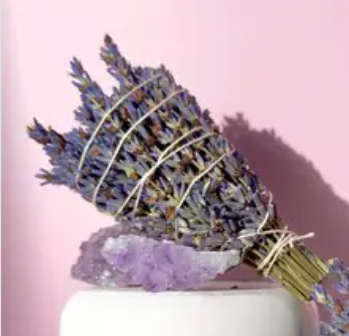 Mini Lavendar Bundle