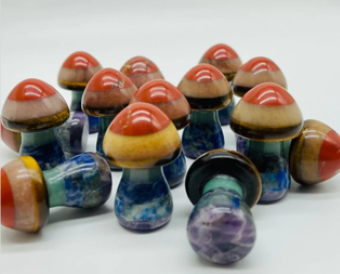 7 Chakra Mushroom