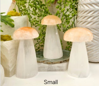 Small Selenite Crystal Mushroom- Orange and White Selenite