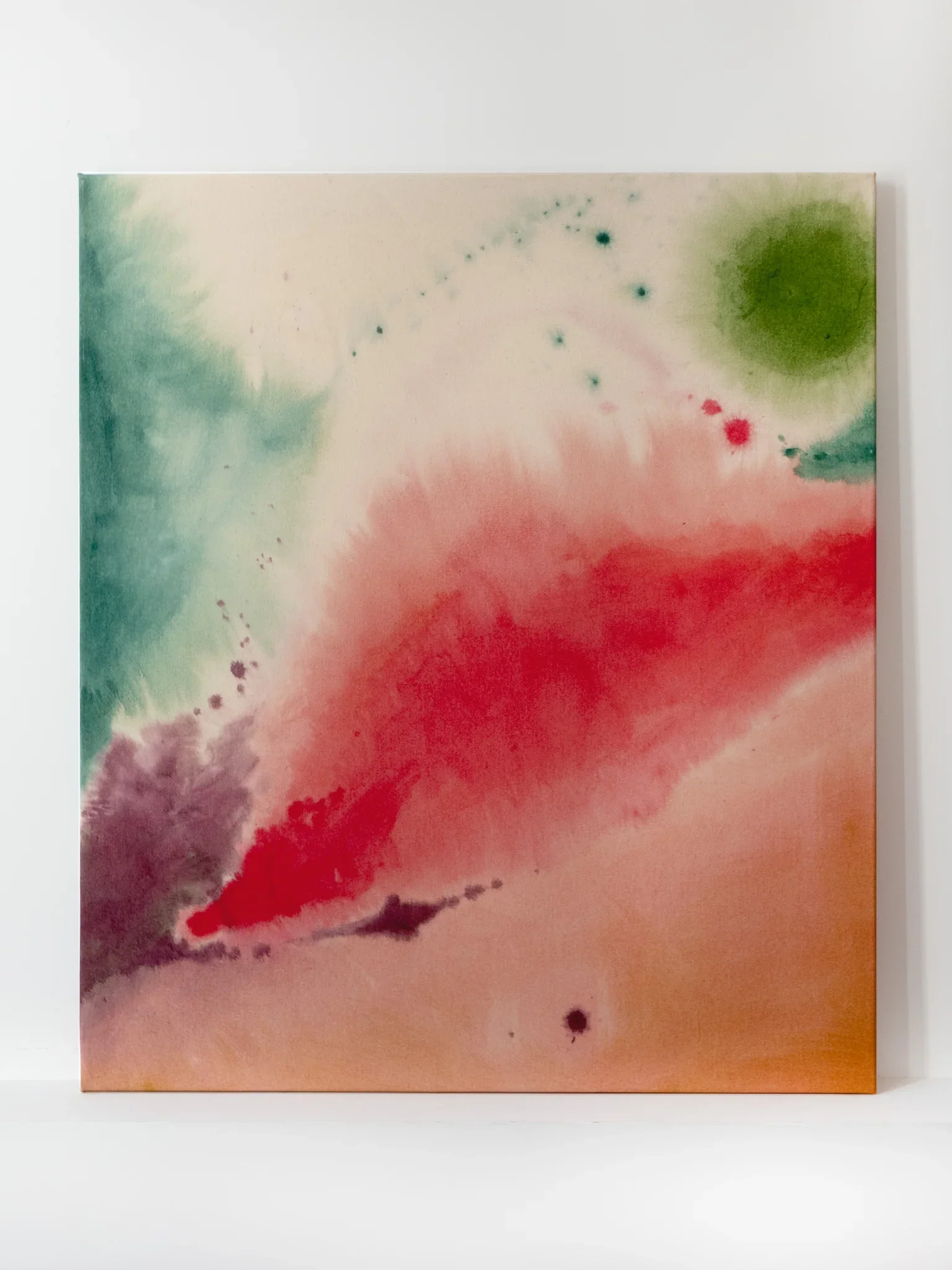  Allegretto V Elisa Carutti.webp