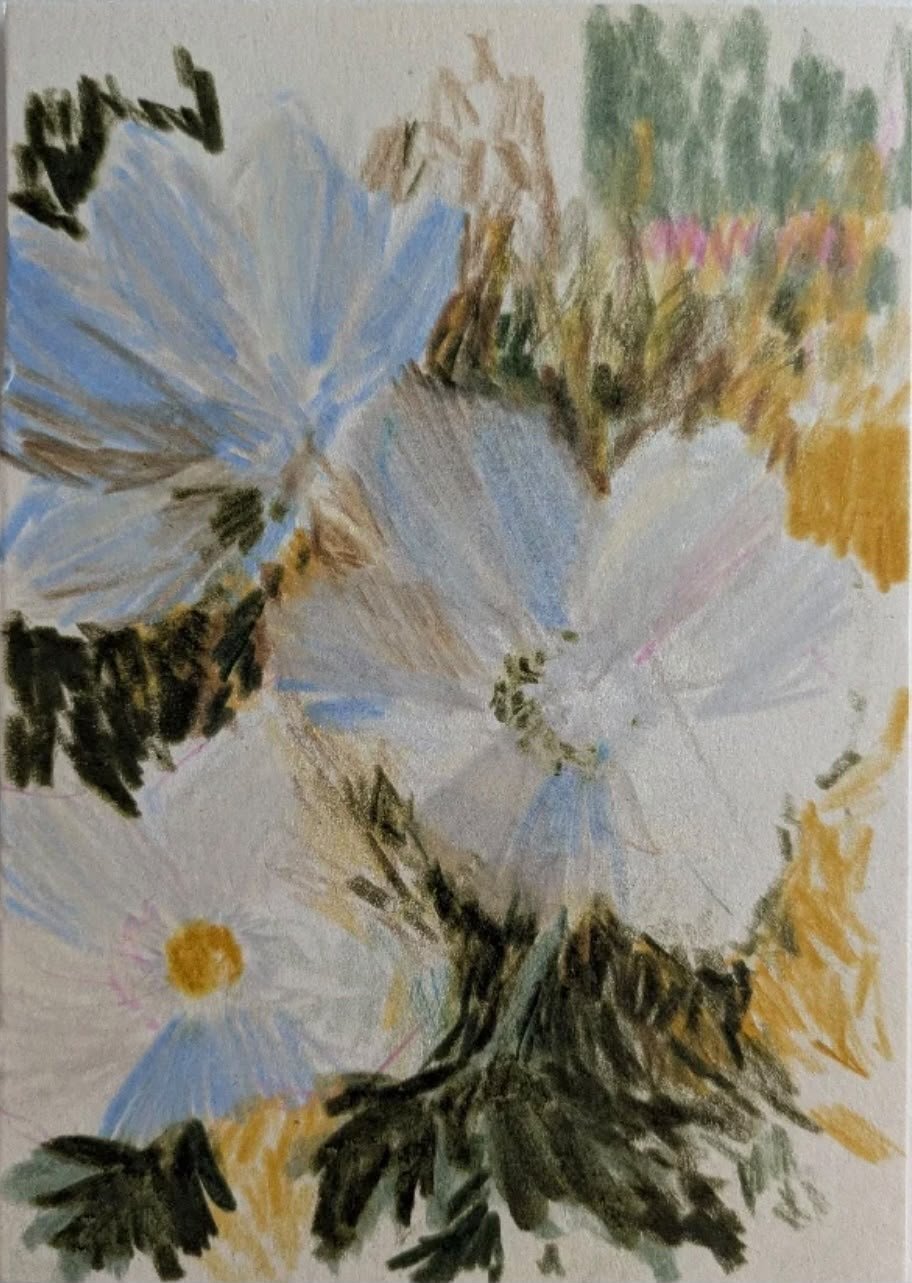 Bloom no VI