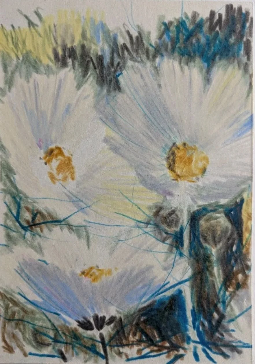 Bloom no II