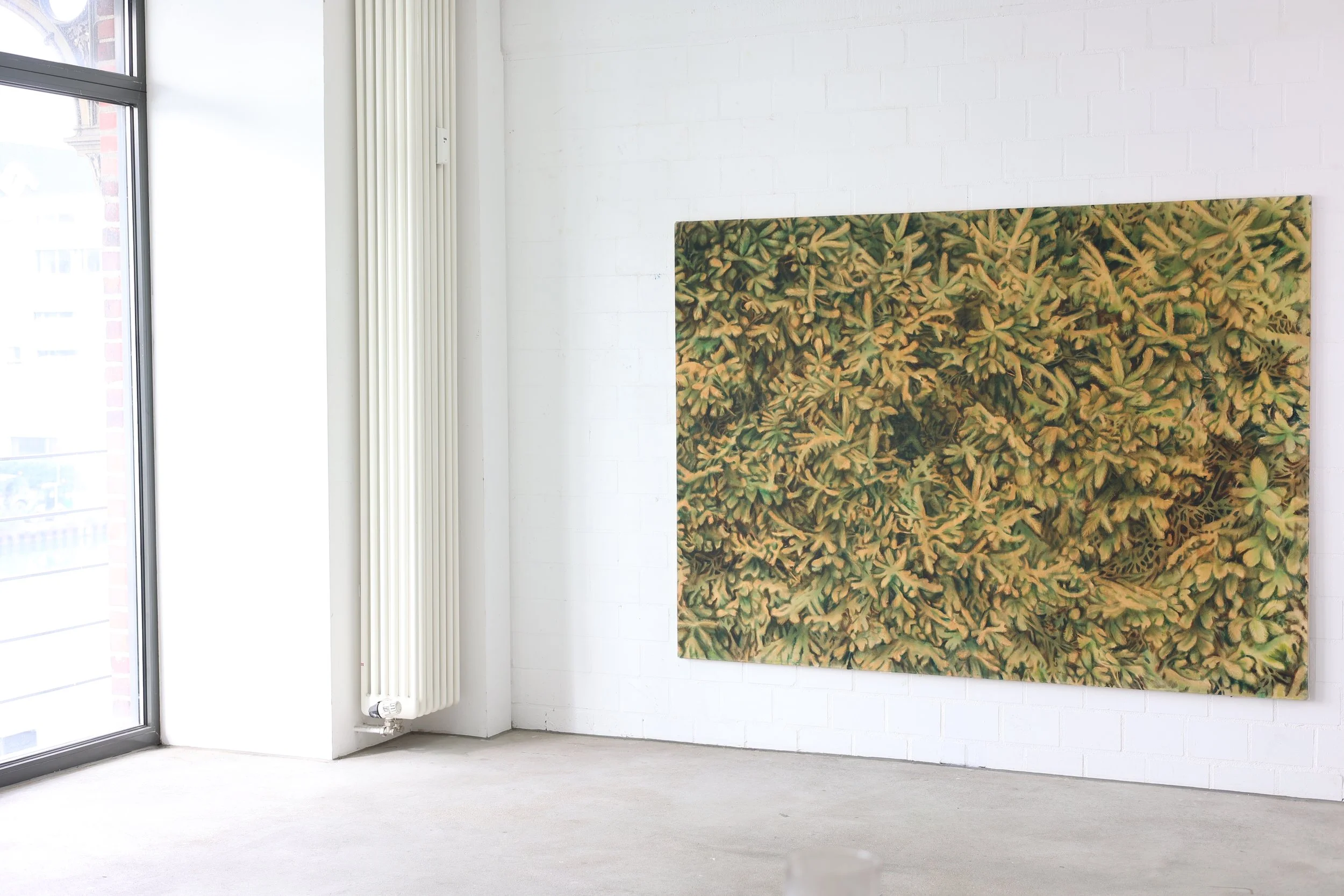 untitled, oil on unprimed cotton, 145 x 200cm, 6.900 Euro.JPG