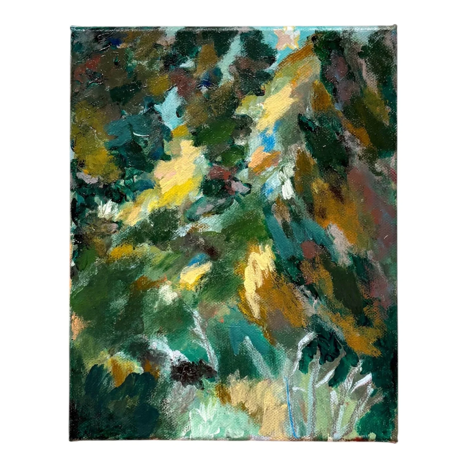 Clouded Judgment