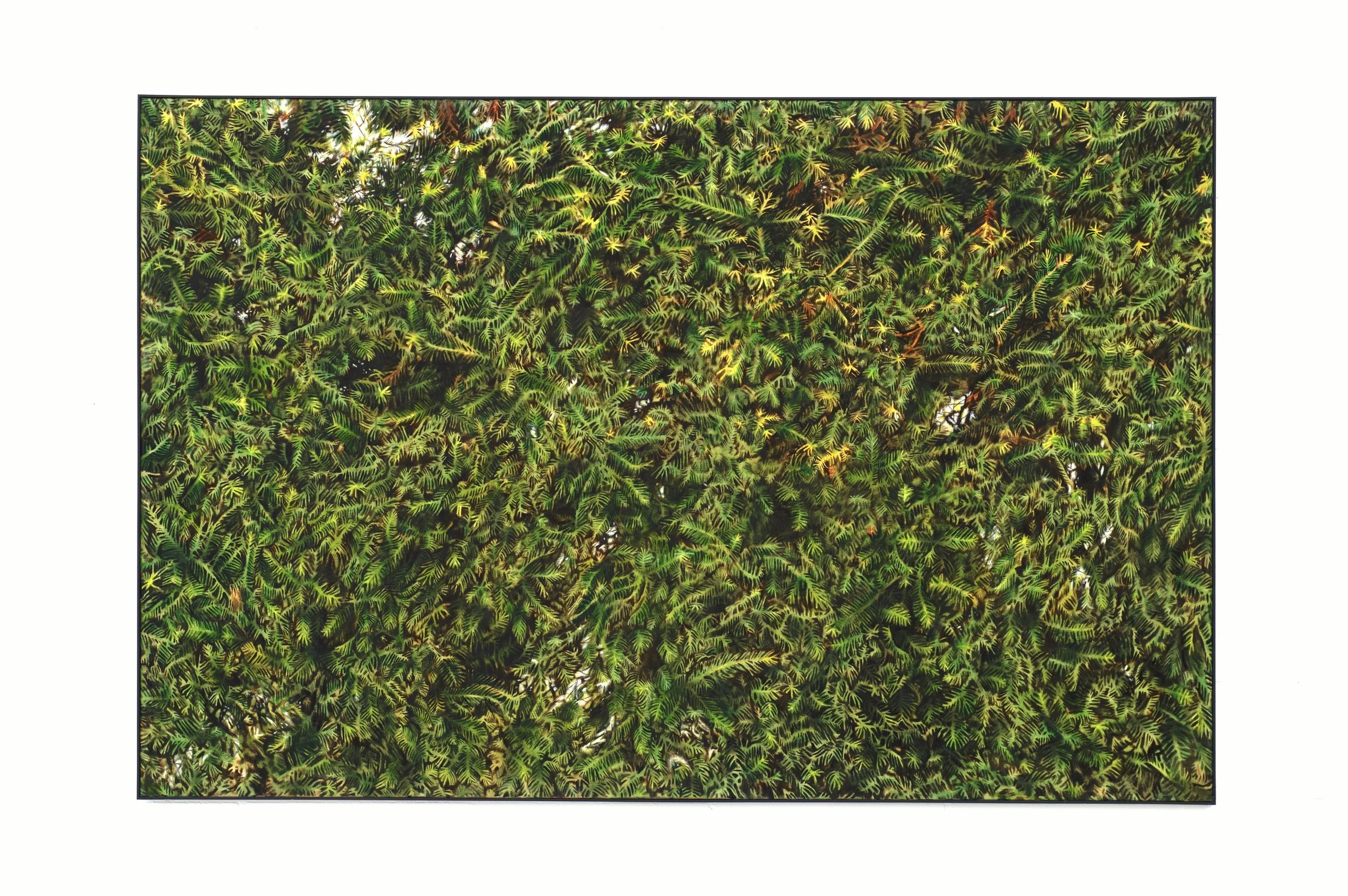 Taxuswand, oil and soft pastel on unprimed cotton, 150 x 230 cm, 7.900 Euro.jpg
