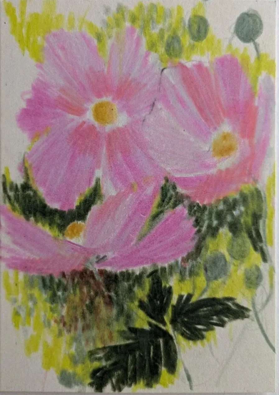Bloom no V