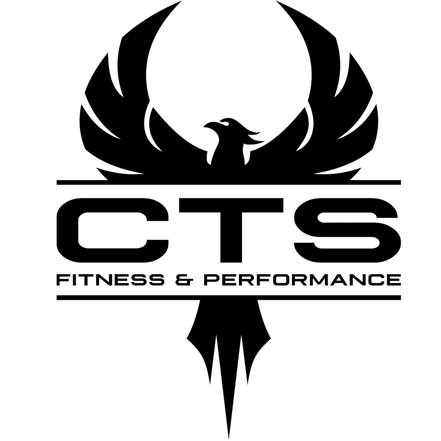 Black and white logo featuring a stylized eagle with outstretched wings above the text 'CTS Fitness & Performance'.