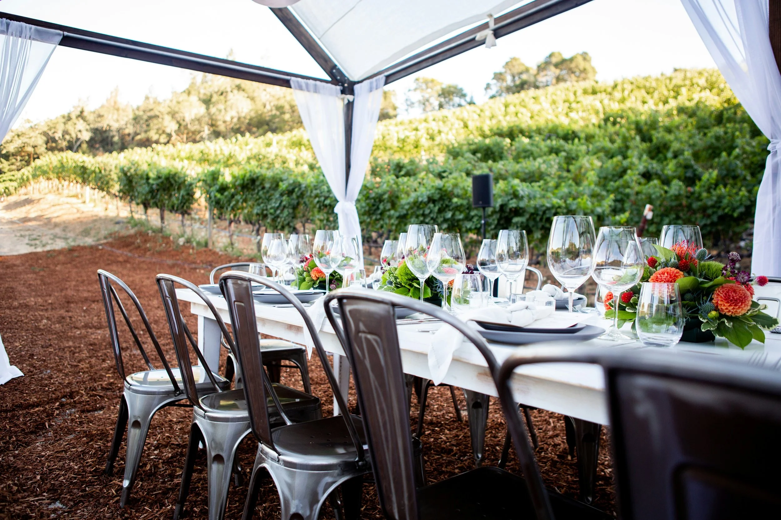 Outdoor dining setup under a canopy with a long table, glassware, plates, and floral centerpieces, surrounded by vineyard and green hills.