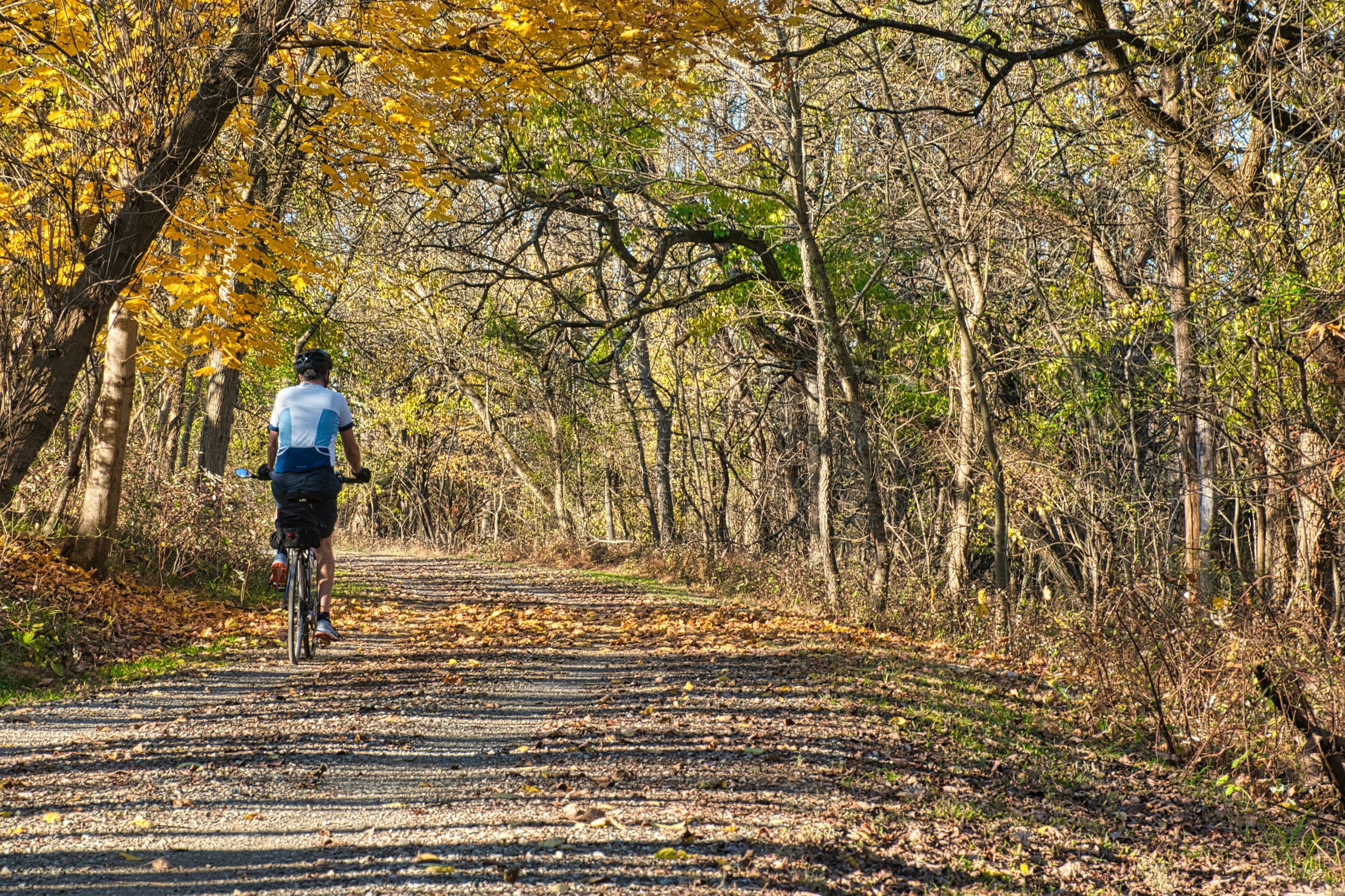 A person riding a bicycle on a dirt trail through a wooded area with autumn leaves.