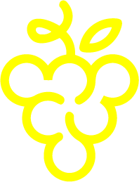 A simple, yellow outline drawing of a bunch of grapes with a small leaf and stem.