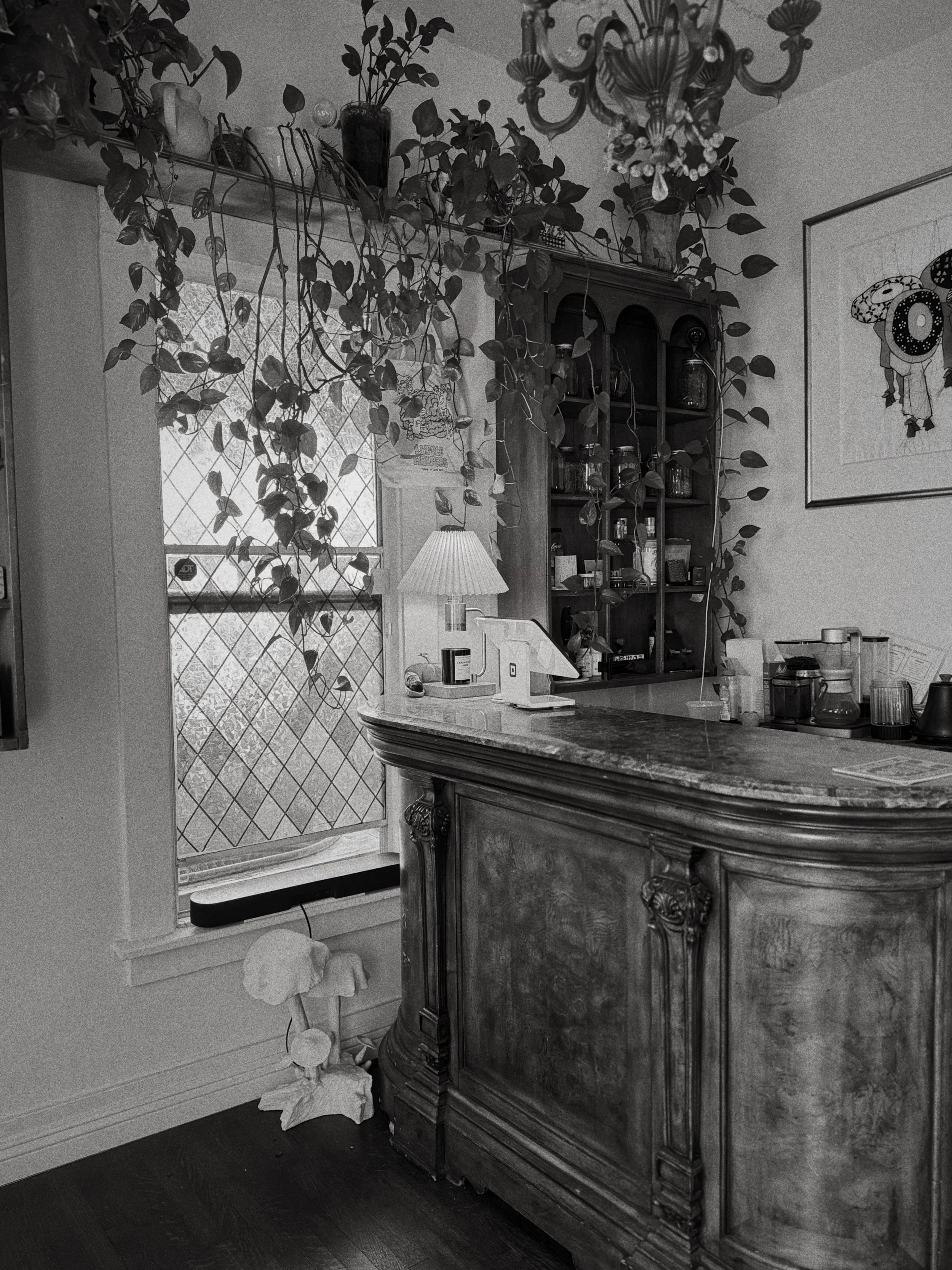 Photo Feb 02 2026, 11 55 03 AM.jpg