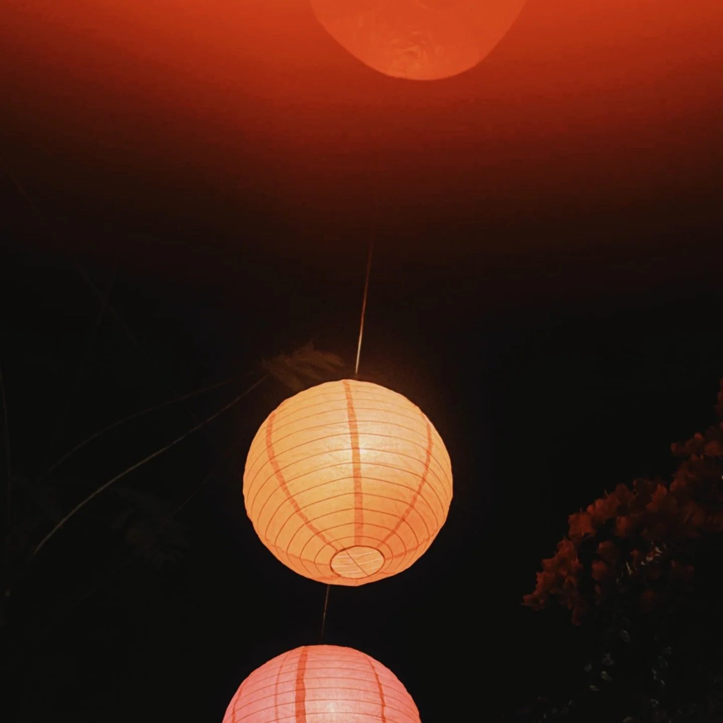 Thank you for joining our screening of &ldquo;In the mood for love&rdquo; Tea evening with @leleforest 🫖 
Which film should we show next?!