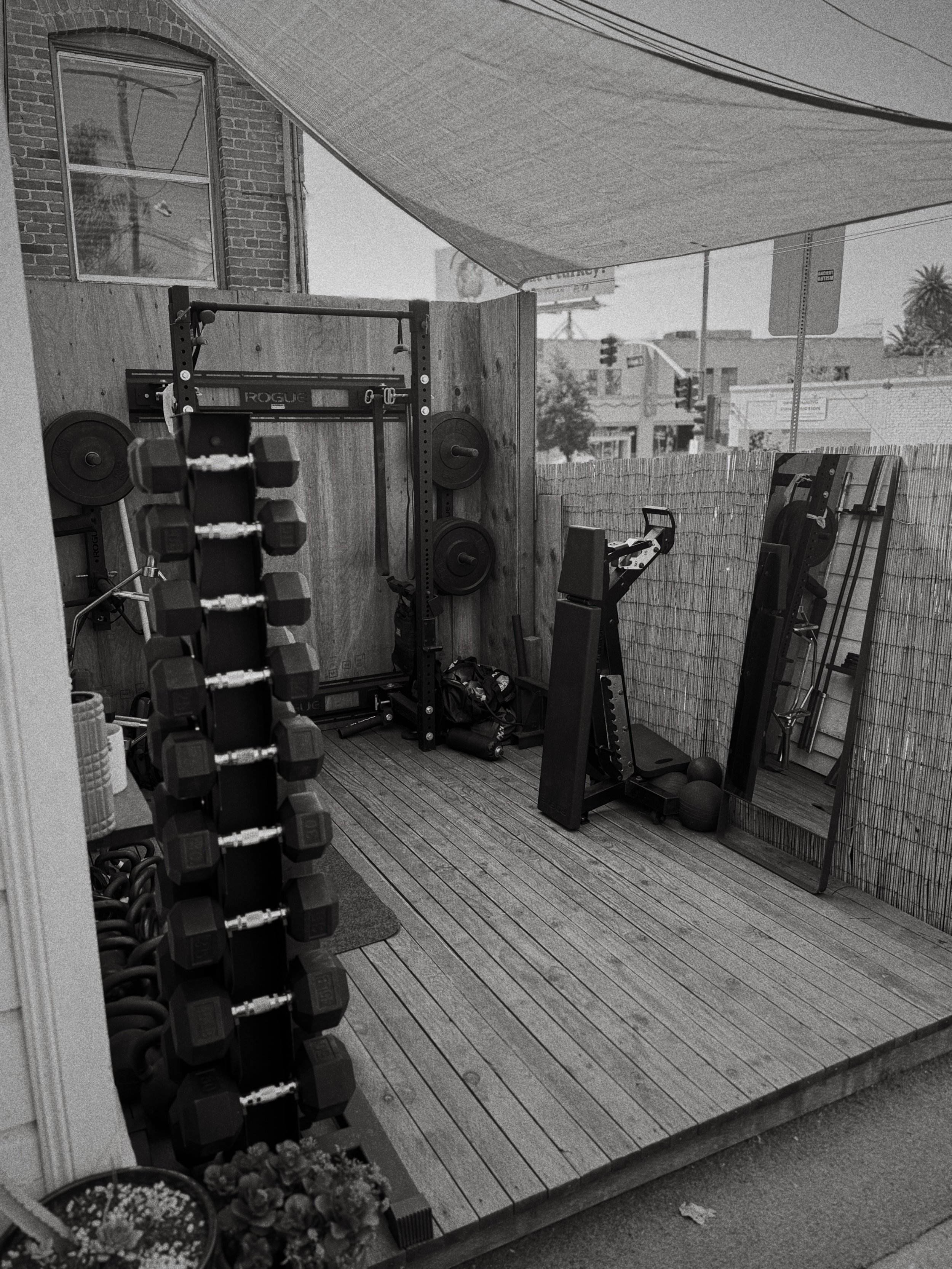 Photo Feb 02 2026, 11 53 01 AM.jpg