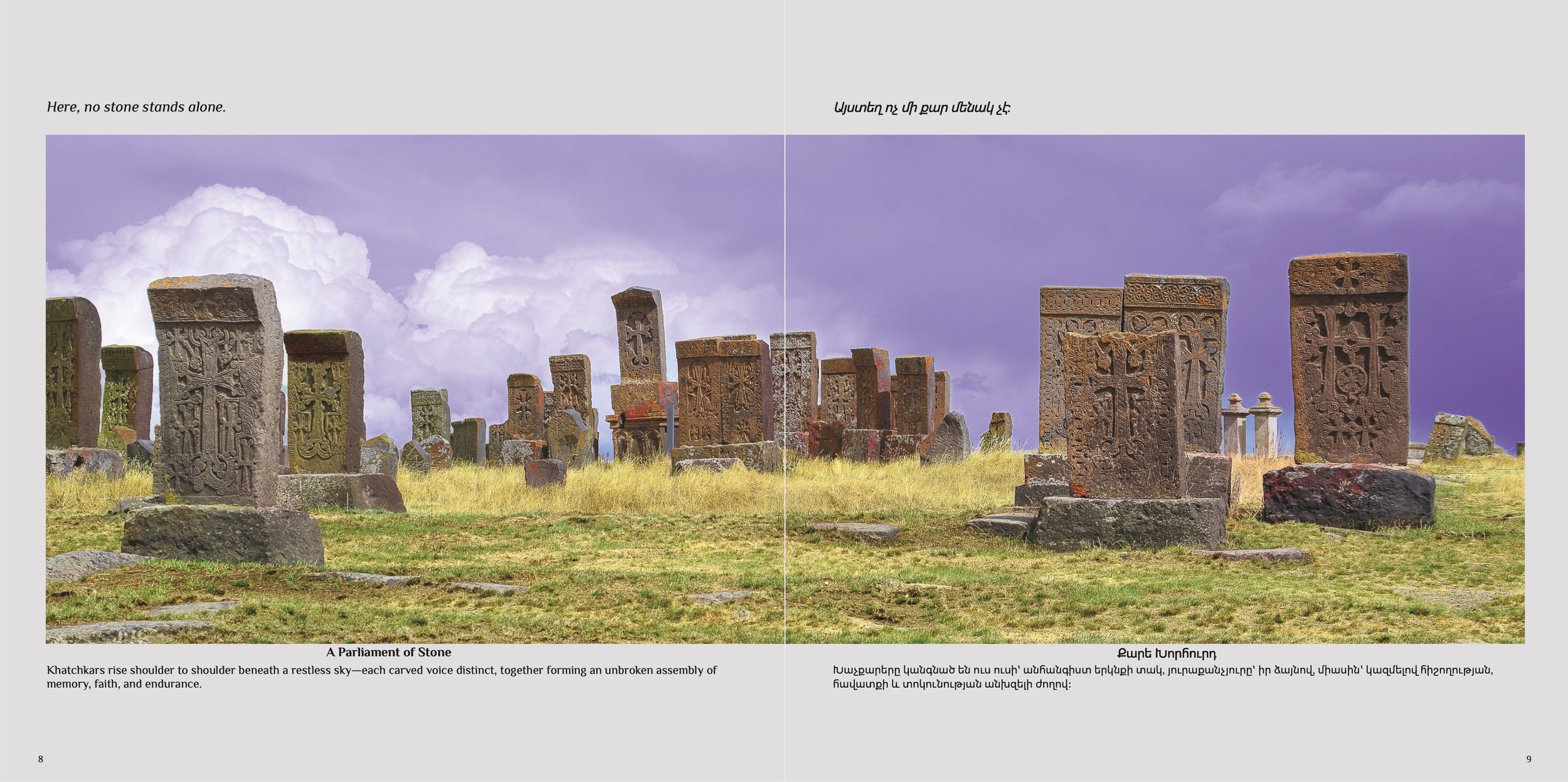 A parliament of stone.jpg