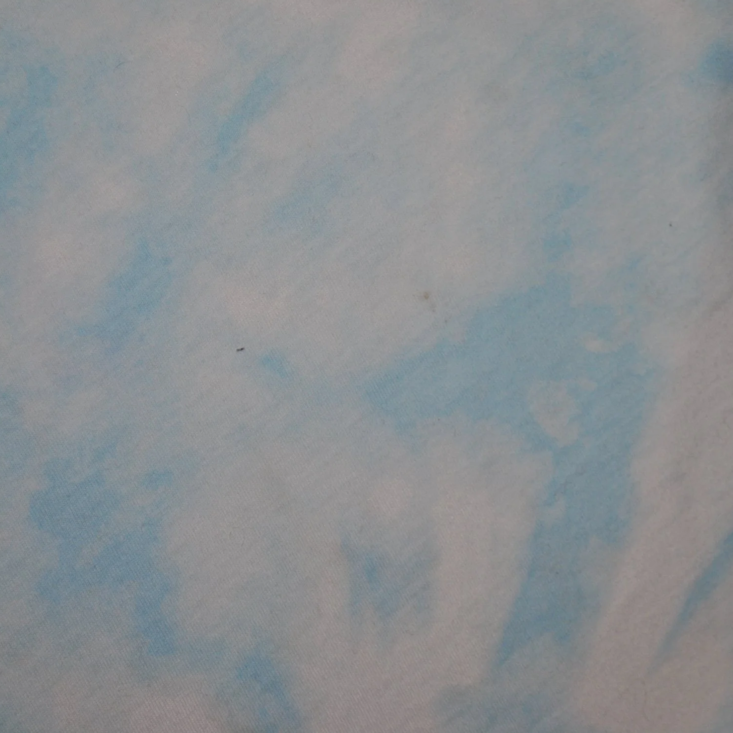 DSC_0262.png