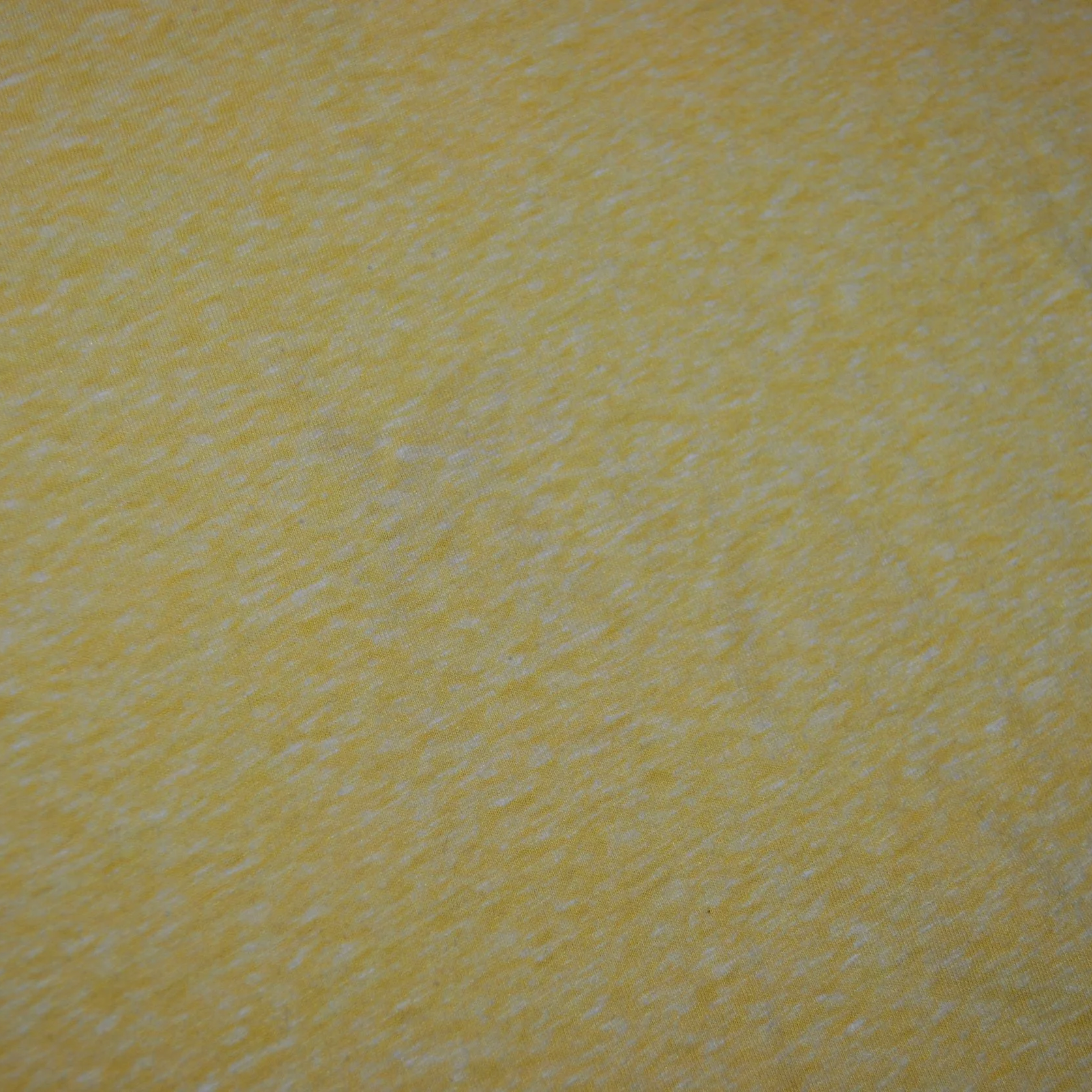 DSC_0140.png
